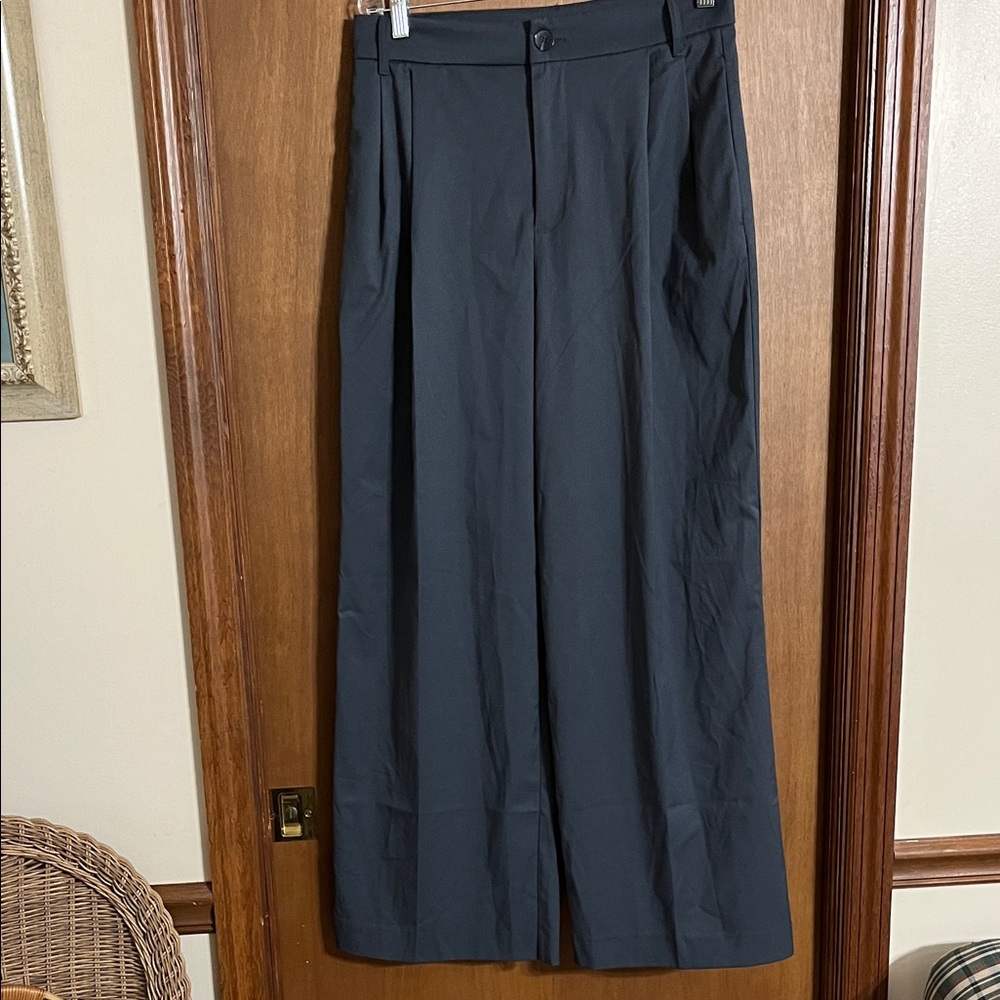 Zara Wide-Leg Dress Pants size small